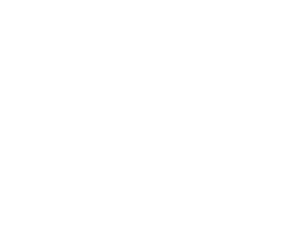 Ticket